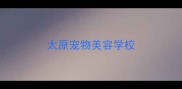 太原宠物美容学校