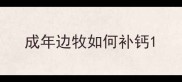 成年边牧如何补钙