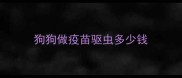 狗狗做疫苗驱虫多少钱