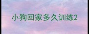小狗回家多久训练