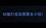 幼猫打疫苗需要多少钱