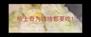 哈士奇为啥啥都要吃