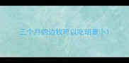 三个月的边牧可以吃胡萝卜
