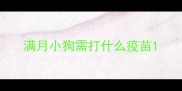 满月小狗需打什么疫苗
