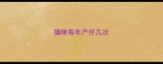 猫咪每年产仔几次