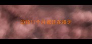 边牧11个月都还在换牙