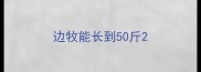 边牧能长到50斤