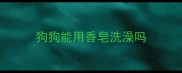 狗狗能用香皂洗澡吗