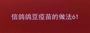 信鸽鸽豆疫苗的做法6