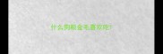 什么狗粮金毛喜欢吃