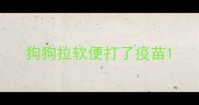 狗狗拉软便打了疫苗