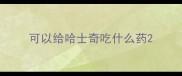 可以给哈士奇吃什么药