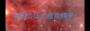 狗狗的狂犬疫苗牌子