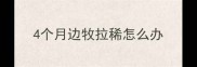 4个月边牧拉稀怎么办