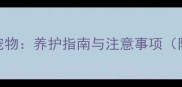 毛绒玩具当宠物养护指南与注意事项附清洁妙招
