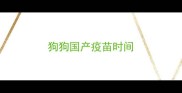狗狗国产疫苗时间