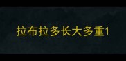 拉布拉多长大多重