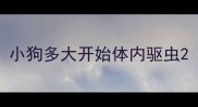 小狗多大开始体内驱虫