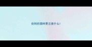 捡到的猫咪要注意什么