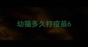 幼猫多久打疫苗6
