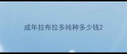 成年拉布拉多纯种多少钱