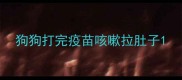 狗狗打完疫苗咳嗽拉肚子