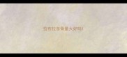 拉布拉多骨量大好吗