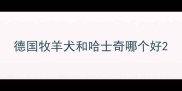 德国牧羊犬和哈士奇哪个好