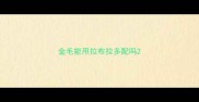 金毛能用拉布拉多配吗