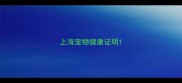 上海宠物健康证明