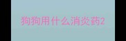 狗狗用什么消炎药