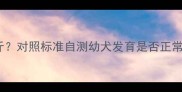 萨摩六个月体重仅30斤对照标准自测幼犬发育是否正常附科学喂养指南