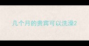 几个月的贵宾可以洗澡