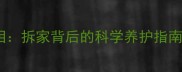 哈士奇三把火消失真相拆家背后的科学养护指南附行为矫正方案