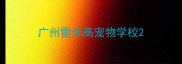 广州雷米高宠物学校