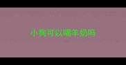 小狗可以喝羊奶吗