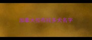 加拿大拉布拉多犬名字