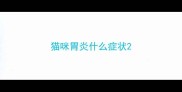 猫咪胃炎什么症状