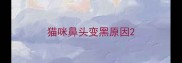 猫咪鼻头变黑原因