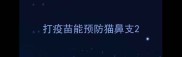 打疫苗能预防猫鼻支