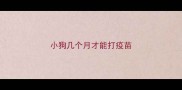 小狗几个月才能打疫苗