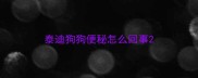 泰迪狗狗便秘怎么回事