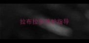 拉布拉多养护指导