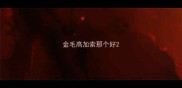 金毛高加索那个好