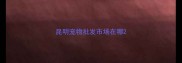 昆明宠物批发市场在哪