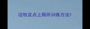 边牧定点上厕所训练方法