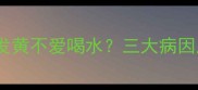 边境牧羊犬尿液发黄不爱喝水三大病因及科学应对指南