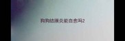 狗狗结膜炎能自愈吗