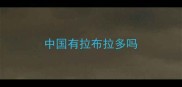 中国有拉布拉多吗