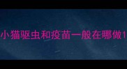 小猫驱虫和疫苗一般在哪做